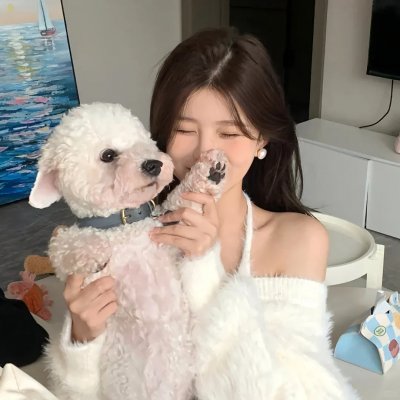 圆盘皇女 十二月夜想曲海报